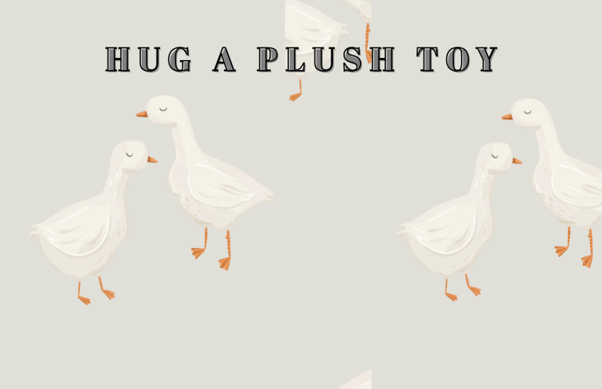 Hug A Plush Toy
